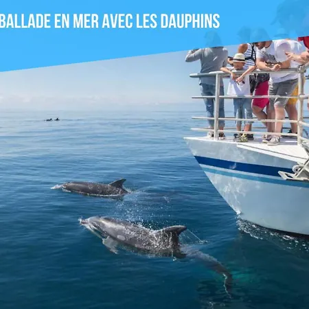 Caporizon-albufeira-vue Panoramique Mer-hyper Centre-4 Personnes Daire Albufeira