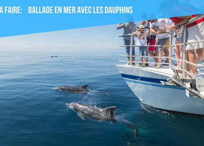 Caporizon-albufeira-vue Panoramique Mer-hyper Centre-4 Personnes Appartamento Albufeira